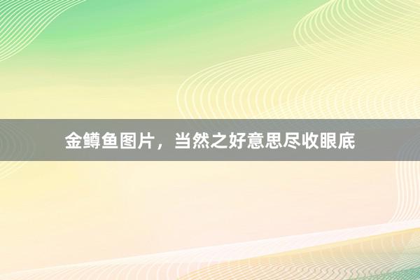金鳟鱼图片,当然之好意思尽收眼底